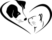 Salon de toilettage Felix Canin